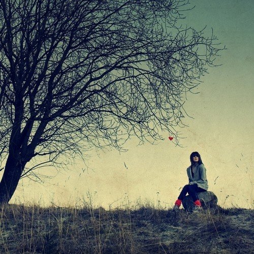 alone,love,tree,heart,girl,photography-fe1686e2df189422e11b301636e7bedf_h.jpg, 104 KB