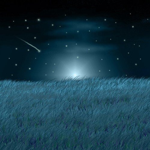 beautiful,blue,falling,star,grass,moonlight,stars-32cfdb16ca946e5a5b20f129a8921fb1_h.jpg, 48 KB