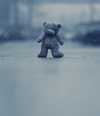lonely,bear,rain,sad,teddy,animals-eafb98ae2204d3db5db35df27c8507d1_h.jpg, 25 KB